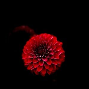 Meet your Posher, Kathryn